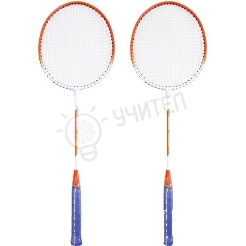 BADMINTON ÎN HUSĂ