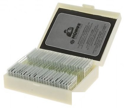 Micropreparate didactice de biologie – set I